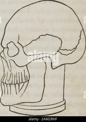 Vorträge über phroenology: einschließlich der Anwendung auf die gegenwärtigen und zukünftigen Zustand der Vereinigten Staaten. Minuten lang galt als ungewöhnlich. Kombinationen der Neigungen und Gefühle. Kopf kann in drei Kategorien unterteilt werden: 1. Wie haben die moralsentiments und Intellekt inpreponderance; wie in der thisskull Spurzheim. 2. Wie haben die pro-pensities, moralischen sentimentsand Intellekt, fast in Equi- librium. 3. Wie haben die pro-pensities im Schwergewicht. Auf dieser Leiter, sehen Sie große moralische Empfindungen, großen geistigen Fähigkeiten und Neigungen. Eine personw Stockfoto