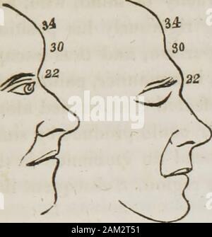 Vorträge über phroenology: einschließlich der Anwendung auf die gegenwärtigen und zukünftigen Zustand der Vereinigten Staaten. Denkt thisorgan ist manchmal einzeln Erkrankte, in Fällen, in denen wordsare her unaufhörlich ohne Bedeutung oder Kohärenz gesendet. Ärzte vorsichtig sein sollte, daher ist zu unterscheiden zwischen Maßnahmen und Ausdrücke, die in ihren Untersuchungen andtestimony über Fälle von Geisteskrankheit. Er denkt, dass die Offenbarung dessen, was aufgerufen wird, das Geschenk des tonguesamong die Irvingites, und andere, hängt zum Teil auf de-Abmachung dieser Orgel. Dass das Gehirn ist Geistesgestört, issufficiently offensichtlich fr Stockfoto