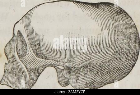 Vorträge über phroenology: einschließlich der Anwendung auf die gegenwärtigen und zukünftigen Zustand der Vereinigten Staaten. ddevotion, diese Herren, withupward von vierhundert otherWhites, wurden von thegeneral Massaker gespeichert und das Vermögen von M. Belin mehrere timespreserved. In Paris, die Gewinne seiner Industrie und therewards erhielt er waren alle bei der Linderung der themiserable beschäftigt. In Port-au-Prince er häufig seine Meister, war ein alter Mann hörte, bedauern die allmähliche Schwächung des hiseye?. Eustache konnte nicht gelesen, sondern inspiriert, mit dem hopeof erfreulich sein Meister, Er bewarb sich heimlich zu studieren, Stockfoto