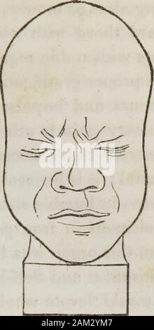 Vorträge über phroenology: einschließlich der Anwendung auf die gegenwärtigen und zukünftigen Zustand der Vereinigten Staaten. lieben mich. Wenn die gewünschte zu atown, die er erobert hatten, Zerstören, antwortete er, das pleasurewhich Ergebnisse aus Rache zufriedengestellt, dauert aber für einen Moment; die, die aus der Barmherzigkeit ist ewig. Fenelon ex untersagt eine schönste Manifestation von ihm, als er sagte: "Ich bin ein echter Franzose, und mein Land liebe; aber ich lovemankind besser als mein Land. Hobbes behebt itsmanifestation in Egoismus. Freude ist in der Tat, die von abeautiful Anordnung der Schöpfer, machte eine concomitantof benevole Stockfoto