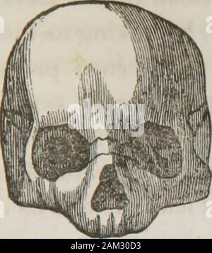 Vorträge über phroenology: einschließlich der Anwendung auf die gegenwärtigen und zukünftigen Zustand der Vereinigten Staaten. Werkstoffe, ing, oder durch ein Abplatzen Fragmente oder durch Formen, oder durch das Zeichnen von Linien und zur Festlegung oncolors. Es Nicht erfinden: sondern nur Moden oder Con-figurates, obwohl, wenn große Es stimuliert das Verständnis zu erfinden, was es angenehm Beschäftigen in Bau. Es dauert seine Richtung von den anderen Fakultäten. Combinedwith großes Gewicht, es führt zu Maschine; withIdeality und Form in der bildhauerkunst; mit diesen und Farbe, topainting. Diese Köpfe vergleichen: In diesem Stockfoto