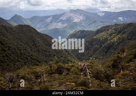 Gehen Sie auf dem Old Ghost Road Trail, Lyell nach Seddonville, Neuseeland. Blick nach Norden von Skyline Ridge in Richtung Boneyard Stockfoto