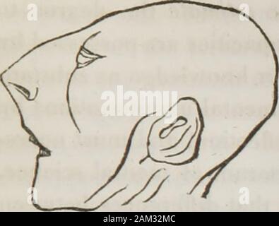 Vorträge über phroenology: einschließlich der Anwendung auf die gegenwärtigen und zukünftigen Zustand der Vereinigten Staaten. ntemptuous Sinn. Es ist Evi- dent, dass das Gehirn ist das Werk Gottes, und herausragende - zeigt Seine Güte und Weisheit ly. Im Gespräch, weought, daher setzen philosophische und respektvollen lan-guage. Was würden Sie denken, eines mans Geschmack, beforespeaking der Funktionen des Auges, sagen sollte - so komm, laß uns sagen etwas über den Scheuklappen?- oder, als Einführung für eine Demonstration der Funktionen des Magens, der sollte sagen - Kommen Sie, lassen Sie uns über das Brot - Korb noch sprechen? Stockfoto