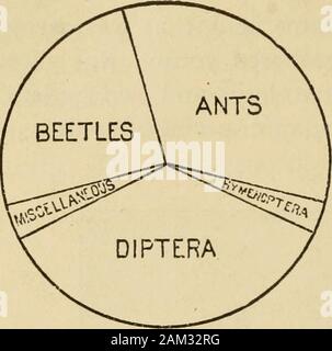 Die Schule und die farmA Abhandlung über die Elemente der Landwirtschaft. Abb. 48 - Die Bobolink. bug, zwei Blatt Käfer, ein rüsselkäfer, ein cutworm, die Backen ofa Cricket, einige Samen von rib Gras, und ein Korn des Weizens in den Mägen der zehn Nestlinge und vierzehn adultscollected in Kansas, die Hälfte der Nahrung der alten birdswas gefunden Gras Samen zu sein, während der des Jungen 226 WISSENSCHAFT UND LANDWIRTSCHAFT. Junge NL 5 TLING Stockfoto