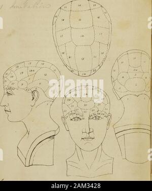 Vorträge über phroenology: einschließlich der Anwendung auf die gegenwärtigen und zukünftigen Zustand der Vereinigten Staaten. ecome mehr Reparaturbedarf Imperativ. 3. Denn, obwohl das Ergebnis hat gezeigt, dass die Spurz-heim die Entdeckungen gemacht hatte, behauptete er, waren seine announcingthem sanktioniert als philosophische, den Präzedenzfall der unscrupu-Lous bloße Vermutungen als Entdeckungen zu veröffentlichen führen würde, so dass die verificationor Widerlegung zu anderen. 4. Denn durch den Verzicht auf Fälle, die groundson, die wir unseren Glauben Rest sind immer in einem Zustand der Tradition. Die Edin - Burgh phrenologen haben nicht die Difficu Stockfoto