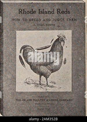 Geflügel Maniac. e, Hühner, einjährige Alt, bei $ 1,00. River View PoultryFarm, Afton, N.Y., 17 S. 0. Weiß ORPINGTONS. AMERICASbest Blutlinien. Eier von Grand Paarungen, $ 1,50 und $ 2,00. Baby Küken angemessen. Slock in der Saison. T.L. Jenkins, Osten MauchChunk, Pa 17 Rhode-Island Rottöne wie Rasse und Richter Sie von Theo. HEWES ist das beste und vollständigste TreatiseEver auf dieser beliebte Rasse veröffentlicht, es gibt aber wenige Rassen so weit advertisedto-Tag wie die Rhode-Island Rottöne und keine Rasse inwhich es solch eine große Meinungsverschiedenheit asto was Perfektion ist. RHODE ISLAND REDS; wie T Stockfoto