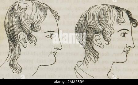 Vorträge über phroenology: einschließlich der Anwendung auf die gegenwärtigen und zukünftigen Zustand der Vereinigten Staaten. Das gleiche Thema; * ein, und fahren Sie fort mit Showthe Art von Beweisen, auf die wir unsere Überzeugung iiaktionen zur Sitz dieses Organs, durch die die Liebe der Jungen ist Mani - fested Rest. Ich halte es für besser an Länge zu zeigen, und um die chief Beweise für ein Organ, als zu schweigen von promiscu waren einige der Beweise von mehreren; - für ein Organ beingproved, die Grundprinzipien des phroenology sind es-etabliert; und diese festgestellt wurde, werden die Details readilymake ihren Weg zu den Überzeugungen o Stockfoto