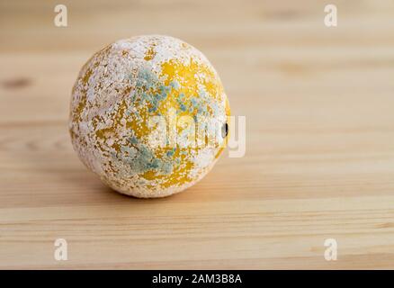 Zitrone mit Mehltau auf einem hölzernen Hintergrund bedeckt. Textfreiraum Stockfoto