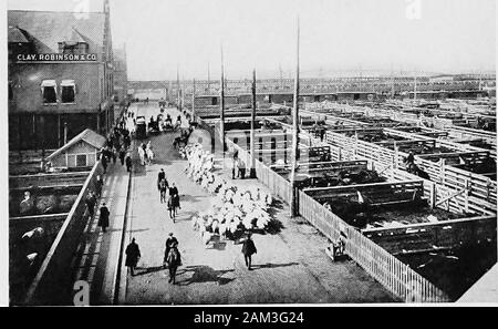 Der Handel der Welt. Foto: Braun Bros. die Holzindustrie spielt eine wichtige Rolle.. Foto: Braun Bro". Die Stock Yards bei Chicago. Außenhandel DER VEREINIGTEN STAATEN 425 und doch ist dies eine der grossen Faktoren in der abilityof Deutscher waren in ausländischen Märkten zu konkurrieren. Der Tag wird kommen, wenn es in Amerika berealized wird, dass eine Nation gut leisten kann forexport zu verbilligen, mit allen Mitteln in seiner Kraft, und dass suchcheapness bedeutet nicht unbedingt, dass discriminationagainst Privatanwender. Es gibt nur wenige signsof den Anbruch dieses Tages im Moment, und Es willcome nur, wenn die u Stockfoto