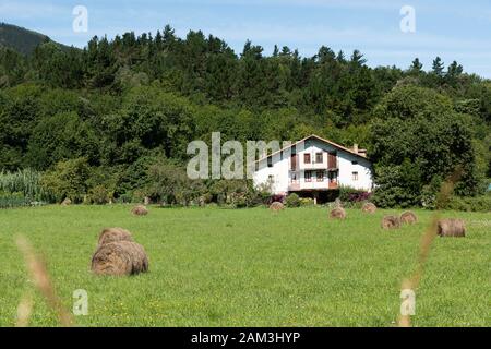 Landschaft mit Bauernhaus mit Getreidefeld vorne mit Strohalpakas an den Seiten Stockfoto