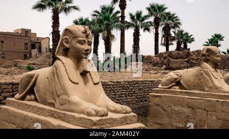 Antike Denkmäler, Landschaften, Natur von Ägypten Stockfoto