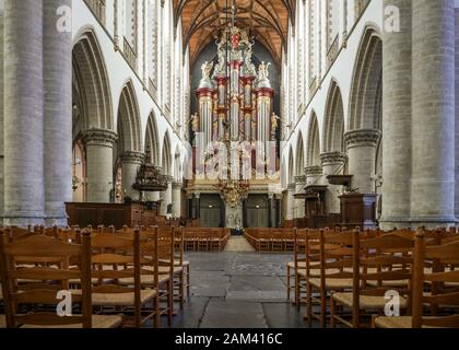 Kathedrale St. Bavo Interieur. Die Orgel und das Schiff der Grote Kerk (Große Kirche) in Haarlem, Niederlande. Stockfoto