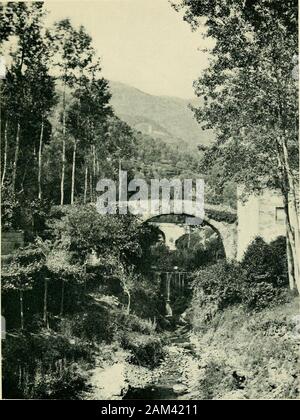 Mit Shelley in Italien: wird eine Auswahl der Gedichte und Briefe von Percy Bysshe Shelley, die mit seinem Leben in Italien von 1818 bis 1822 zu tun. g Italien mit seinen Augen, [xxiij Einführung und hört die Nachricht, um sie zu seiner sympathischen heartand poetischen Geist sprach. Vor einem Vierteljahrhundert einer der Shelley ^s Die meisten SYMPA-vollpanzerung Editoren^ erklärt die einzige ernsthafte Hindernisse für thegeneral Verständnis von Shelley seine Gelehrsamkeit undder italienischen Atmosphäre umhüllt, die viel von seiner Poesie/^ seit dieser Zeit viel Textkritik, viele Biografien und kein Ende der kommentierten Editionen offe wurden Stockfoto