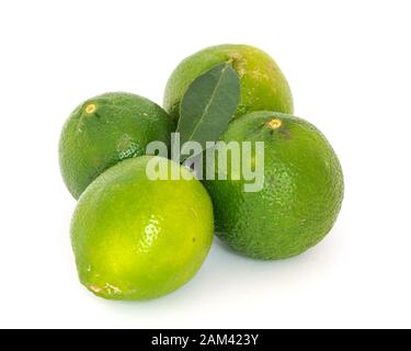 Vier Limes und Blatt isoliert auf Weiß Stockfoto