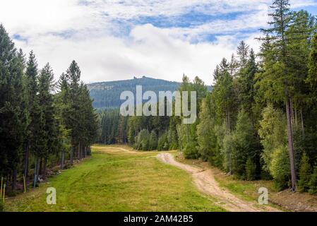 Sommerblick auf den Waldweg am Hang des Berges Szrenica im Riesengebirge in Polen Stockfoto