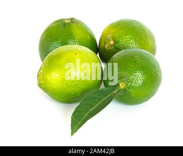 Vier Limes und Blatt isoliert auf Weiß Stockfoto