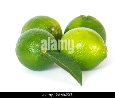 Vier Limes und Blatt isoliert auf Weiß Stockfoto