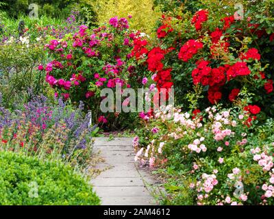 Helle Blumendarstellung rund um einen Gartenpfad in einem Hüttengarten im Sommer Stockfoto