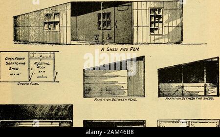 Das Geflügel Handbuch; eine Anleitung zum erfolgreichen Geflügel halten in allen seinen Zweigen, Schick und praktisch. 6 DE £ Pn PERSPECTIVSi. Stockfoto