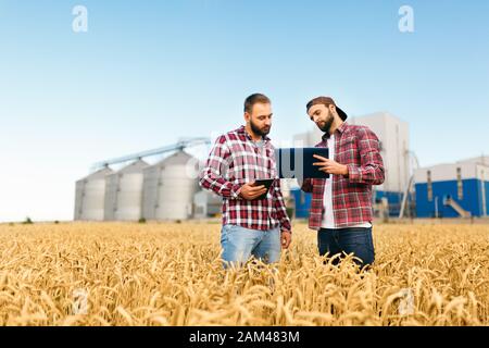 Zwei Bauern stehen in einem Weizenfeld mit Tablette. Agronomen diskutieren Ernte und Ernte zwischen Weizenähren mit Kornterminalaufzug im Hintergrund Stockfoto
