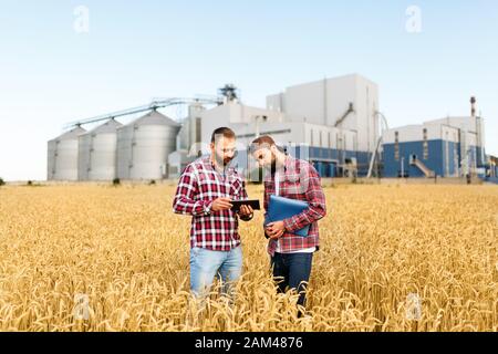 Zwei Bauern stehen in einem Weizenfeld mit Tablette. Agronomen diskutieren Ernte und Ernte zwischen Weizenähren mit Kornterminalaufzug im Hintergrund Stockfoto