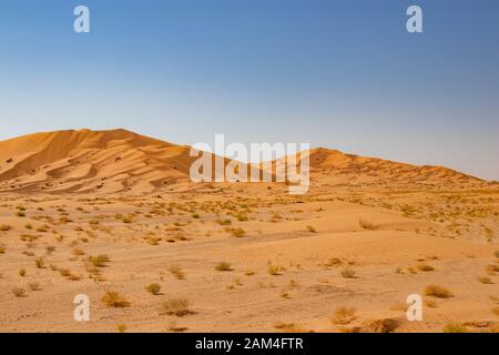 Sanddünen in Rab al Khali oder Leere Viertel in der Nähe von Salalah im Dhofar Oman Stockfoto