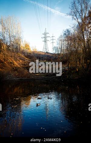 Zwei Strompylone umgeben von Bäumen im Herbst auf einem Hügel und einem Teich mit Enten darunter Stockfoto