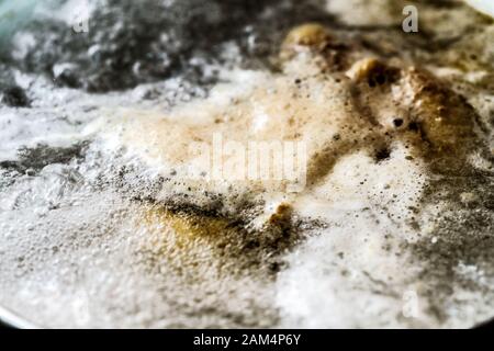 Kochender Schaum in einem Topf auf einem Elektroherd Stockfoto