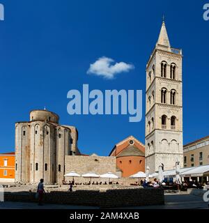 Kreisförmige St Donat's Kirche und der Glockenturm von Zadar Kathedrale auf das alte römische Forum, Zadar, Dalmatien, Kroatien Stockfoto