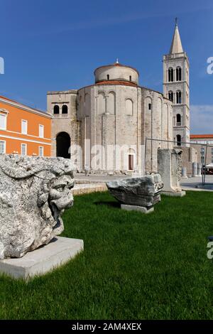 Kreisförmige St Donat's Kirche und der Glockenturm von Zadar Kathedrale auf das alte römische Forum, Zadar, Dalmatien, Kroatien Stockfoto