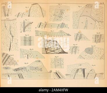 Neues Jahrbuch für Geschichte, Geologie und Paläontologie. ^. Jalirb. w. Bergmann. 1863. Taf. JH Stockfoto