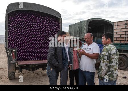 (200111) - SANYA, Jan. 11, 2020 (Xinhua) - ein Händler diskutiert mit Landwirten auf eine ganze Verkauf von Obst und Gemüse in Yazhou Bezirk in Sanya, South China Hainan Provinz, Jan. 6, 2020. Yazhou Bezirk ist ein Bedeutung der Nabe der pflanzlichen Produktion in Hainan Provinz. (Foto von Pu Xiaoxu/Xinhua) Stockfoto