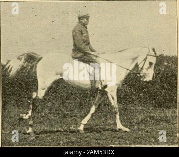 Veterinär Hinweise für Pferdebesitzer: Handbuch Pferd der Medizin und Chirurgie. Abb. lo. Fie. Ii. Stockfoto