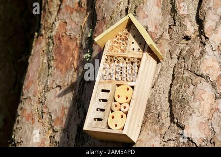 Insekten- und Bienenholznest Hauskiste auf Baumstamm im Freien Stockfoto