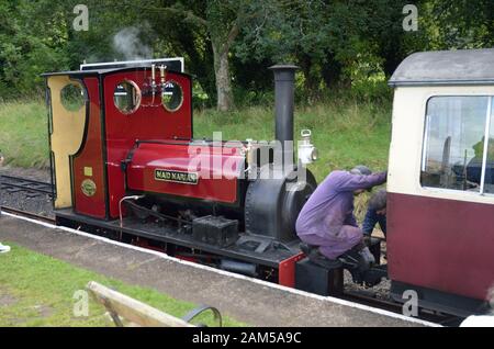 Bala Lake Railway Wales; Maid Marian; Dampfzug; Wales; Großbritannien; Großbritannien; Europa. Bala Lake; Llyn Tegid; Rheilffordd Llyn Tegid Stockfoto