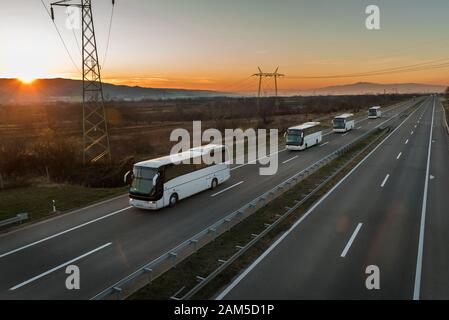 Caravan oder Konvoi mit Vier weißen Bussen in Linie, die auf einer Landstraße unter dem erstaunlichen orangefarbenen Himmel bei Sonnenuntergang fahren. Fernstraßenverkehr mit weißen Bussen Stockfoto