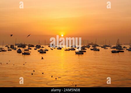 Fischerboote im Wasser des Arabischen Meeres bei Sonnenaufgang. Mumbai. Indien Stockfoto