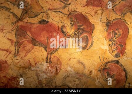 Neocave of Cave of Altamira, Nationalmuseum und Forschungszentrum von Altamira, Santillana del Mar, Kantabrien, Spanien Stockfoto