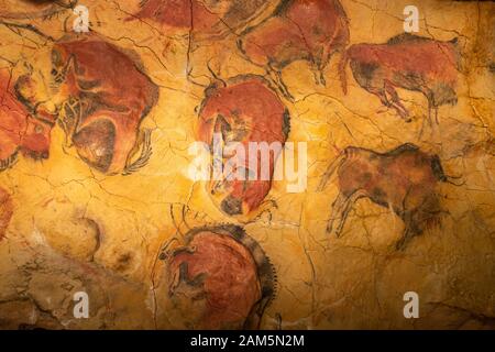 Neocave of Cave of Altamira, Nationalmuseum und Forschungszentrum von Altamira, Santillana del Mar, Kantabrien, Spanien Stockfoto