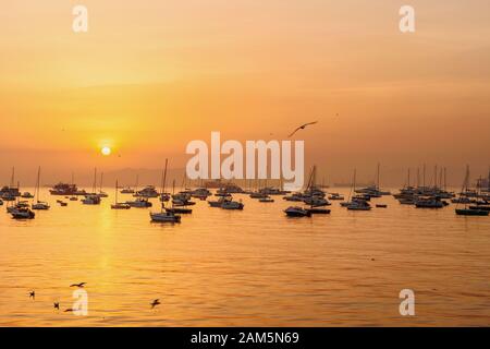 Fischerboote im Wasser des Arabischen Meeres bei Sonnenaufgang. Mumbai. Indien Stockfoto