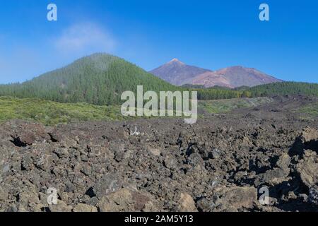 Teide und Montaña Blanca Vulkane, mit kanarischen grünen Kiefern Wald und der vulkanischen Landschaft, und blauer Himmel, Teneriffa, Kanarische Inseln, Spanien Stockfoto