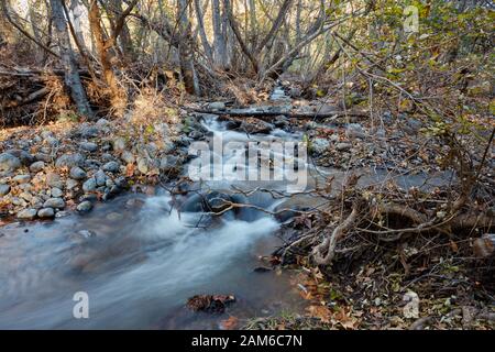 West Clear Creek, Camp Verde, Arizona Stockfoto