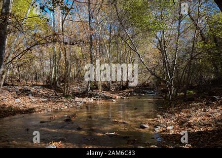 West Clear Creek, Camp Verde, Arizona Stockfoto