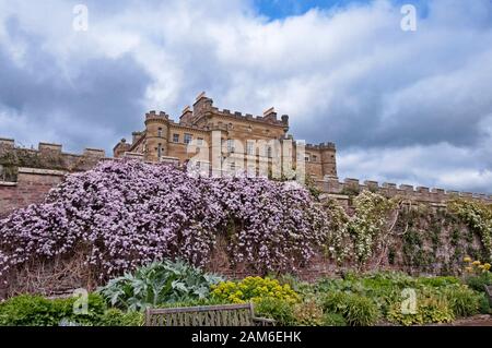 Ayrshire, Schottland - 19. Mai 2012: Culzean Castle wurde auf den Klippen von Ayrshire im späten 18. Jahrhundert erbaut. Der umliegende Park umfasst Koniferen und Stockfoto