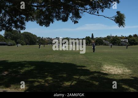 Lokale Cricket-Teams für Herren, die an einem sonnigen Januar-Sommertag in Madills Farm Recreational Reserve, Kohimarma, Auckland, Neuseeland, Spiele spielen. Stockfoto