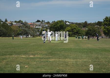 Lokale Cricket-Teams für Herren, die an einem sonnigen Januar-Sommertag in Madills Farm Recreational Reserve, Kohimarma, Auckland, Neuseeland, Spiele spielen. Stockfoto