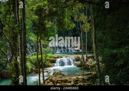 Tad Sae Wasserfall in der Provinz Luang Prabang, Laos Stockfoto