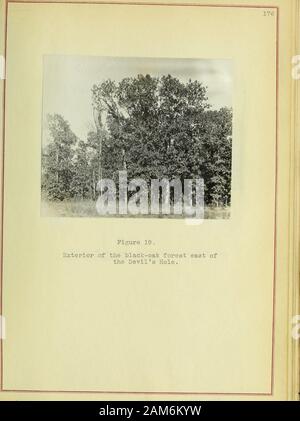 Ein vereinsleben Studie von Illinois Sand Prairie. Stockfoto