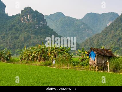 Traditionelles Haus an Stelzen am Rande des Reisfelder Paddy mit malerischem Blick auf Kalkkarstberge, Tam Coc, Ninh Binh, Vietnam, Asien Stockfoto