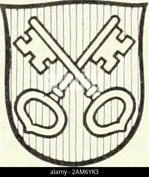 Wörterbuch historique & biographique de la Suisse: publié avec la Empfehlung de la Société générale Suisse d'histoire et sous la Direction de Marcel Godet, Henri Türler [et] Victor Attinger avec de nombreux collaborateurs de tous les Kantone. Stockfoto